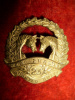 New Zealand - 23rd Mounted Reinforcements Collar Badge, 4/197 